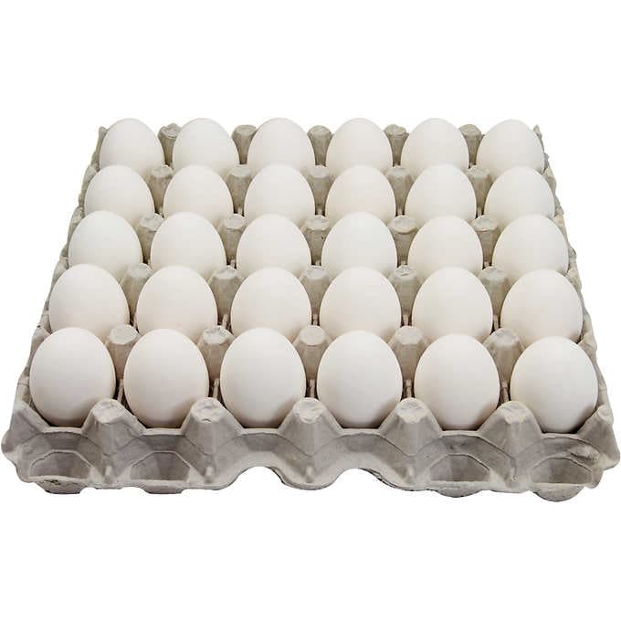 5 Packs Plastic Egg Cartons Bulk Empty Clear Egg Tray Egg Carton