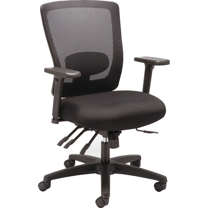 Office Chairs: Buy Airavat High Back Ergonomic Office Chai