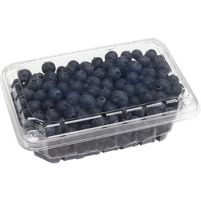 Jumbo Premium Blueberries