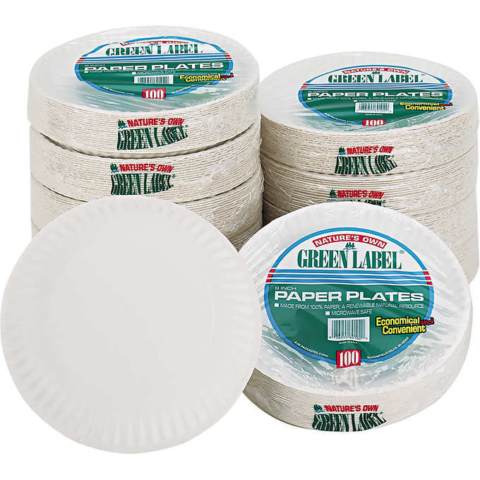 9 Uncoated Paper Plates in Bulk (1000 Count)